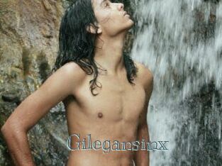 Gilegansinx