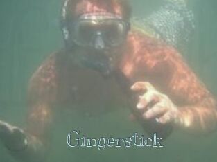 Gingerstick