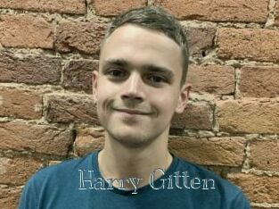 Harry_Gitten