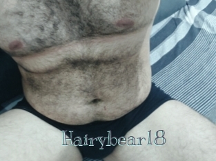 Hairybear18