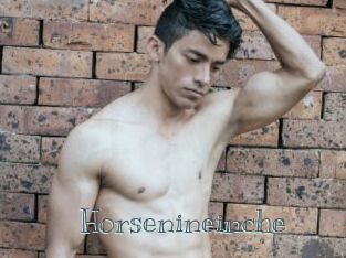 Horsenineinche