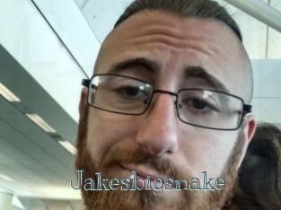 Jakesbigsnake