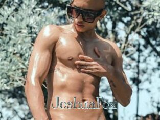 JoshuaFox