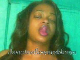 Jasmineflowersbloom