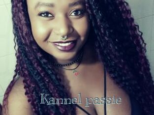Kannel_passie