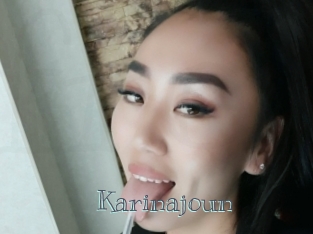 Karinajoun