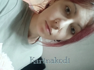 Karinakodi