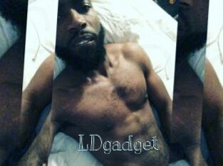 LDgadget
