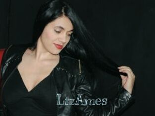 LizAmes