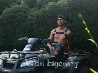 Latin_bigcrazy