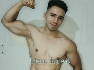 Liam_forest