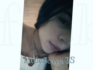 LittleflowerTS