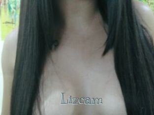 Lizcam
