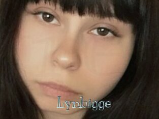 Lynbigge