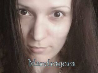 Mandragora