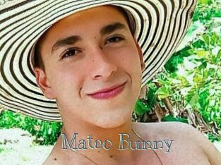 Mateo_Bunny