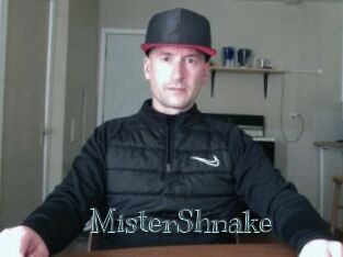 MisterShnake