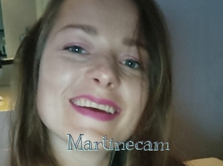 Martinecam