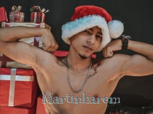 Martinharem