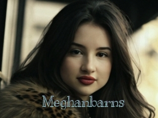 Meghanbarns