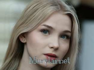 Merylarnet