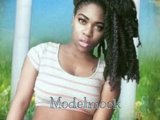 Modelmook
