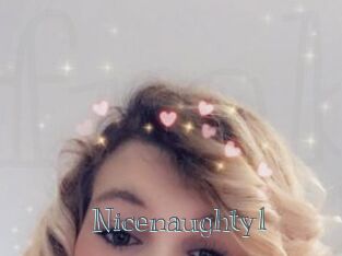 Nicenaughty1