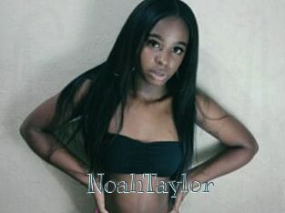 NoahTaylor