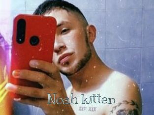 Noah_kitten