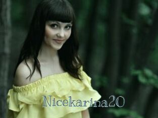 Nicekarina20
