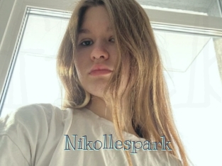 Nikollespark
