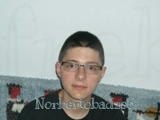 Norbertobadzso