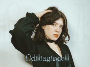 Odiliagingell