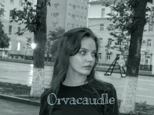 Orvacaudle