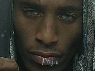 Paju