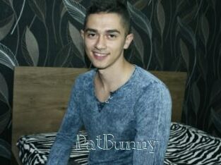 PatBunny