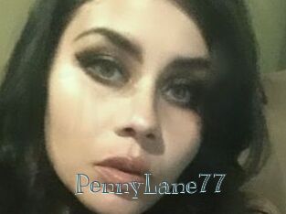 PennyLane77
