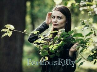 Perilous_Kitty