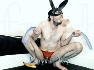 Playful_Toy