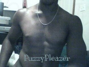 PuzzyPleazer