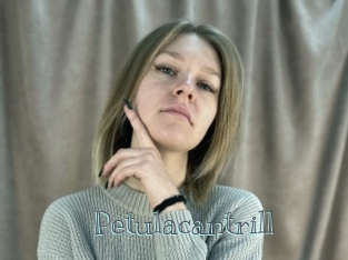 Petulacantrill