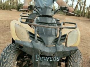 Pewnis