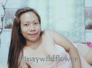 Pinaywildflower