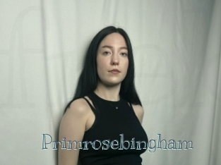 Primrosebingham
