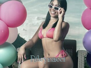 Rileynacci