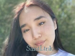 SaniLink