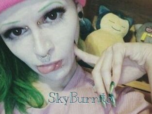SkyBurrito
