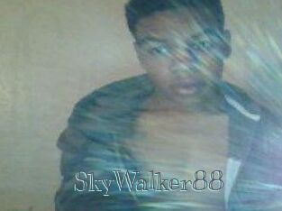 SkyWalker88