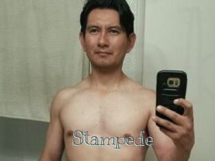 Stampede
