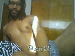 Stray85